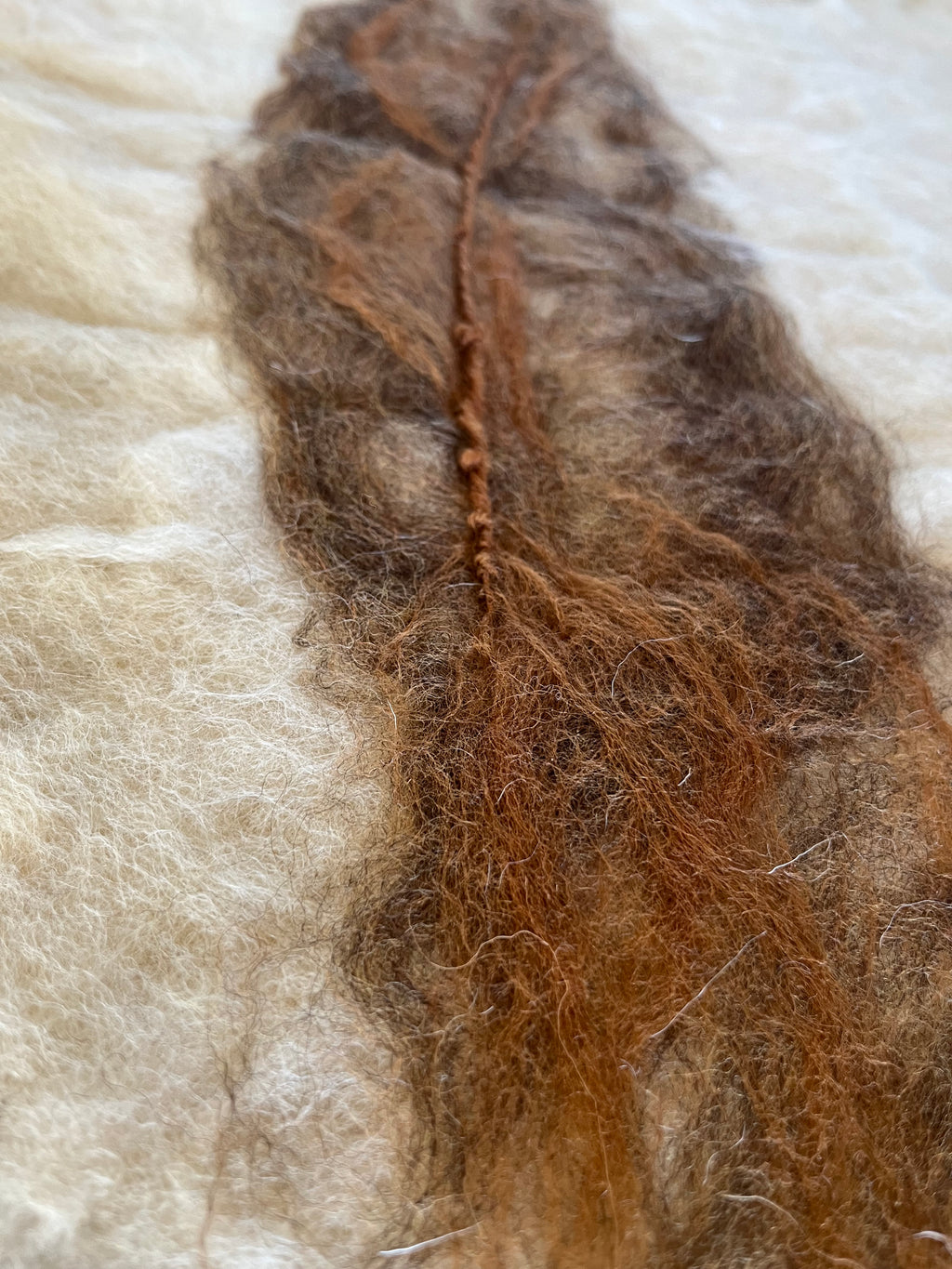 Close-up of wool fibers used in acoustic panel design. A sustainable material that enhances both sound comfort and visual warmth.